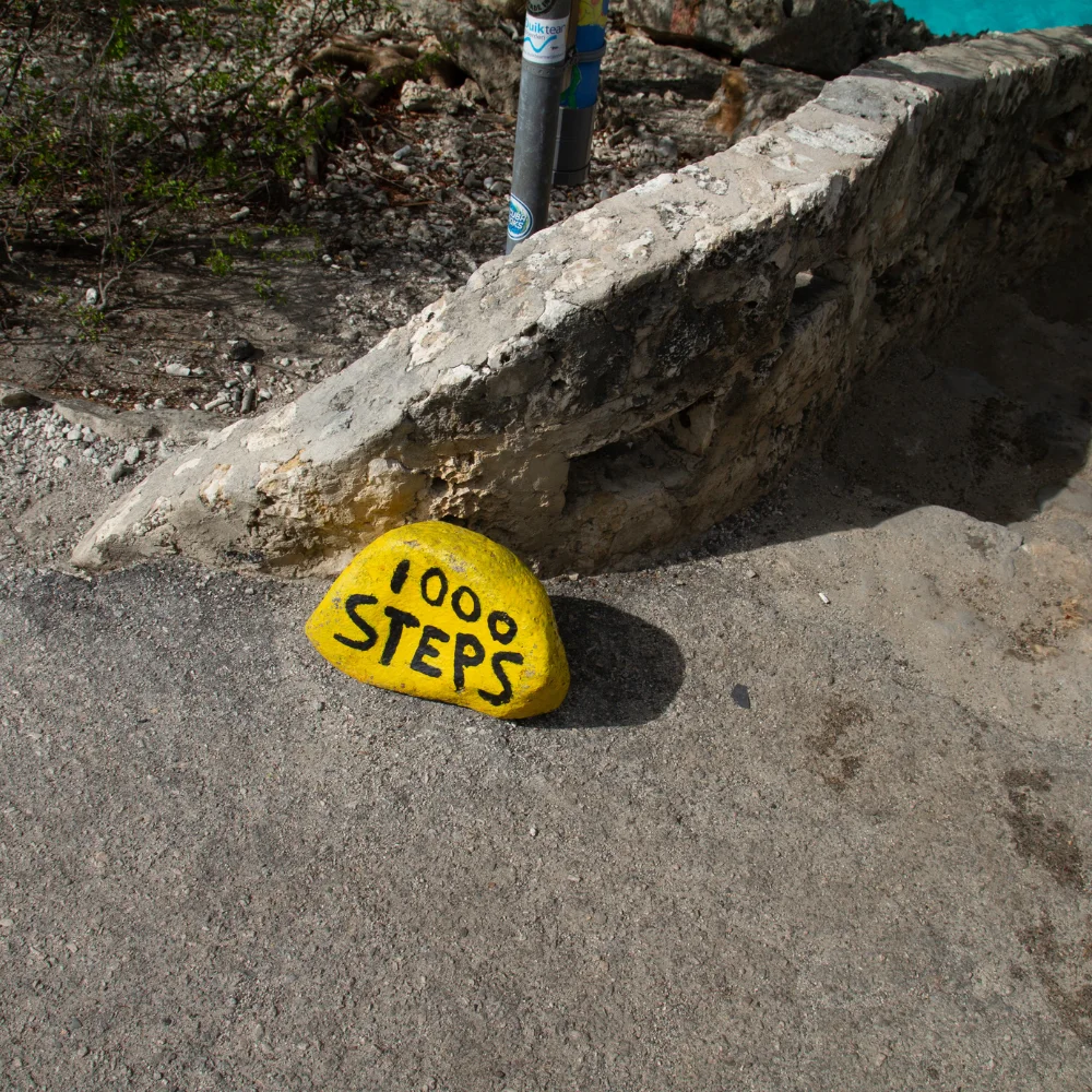 1000 steps bonaire