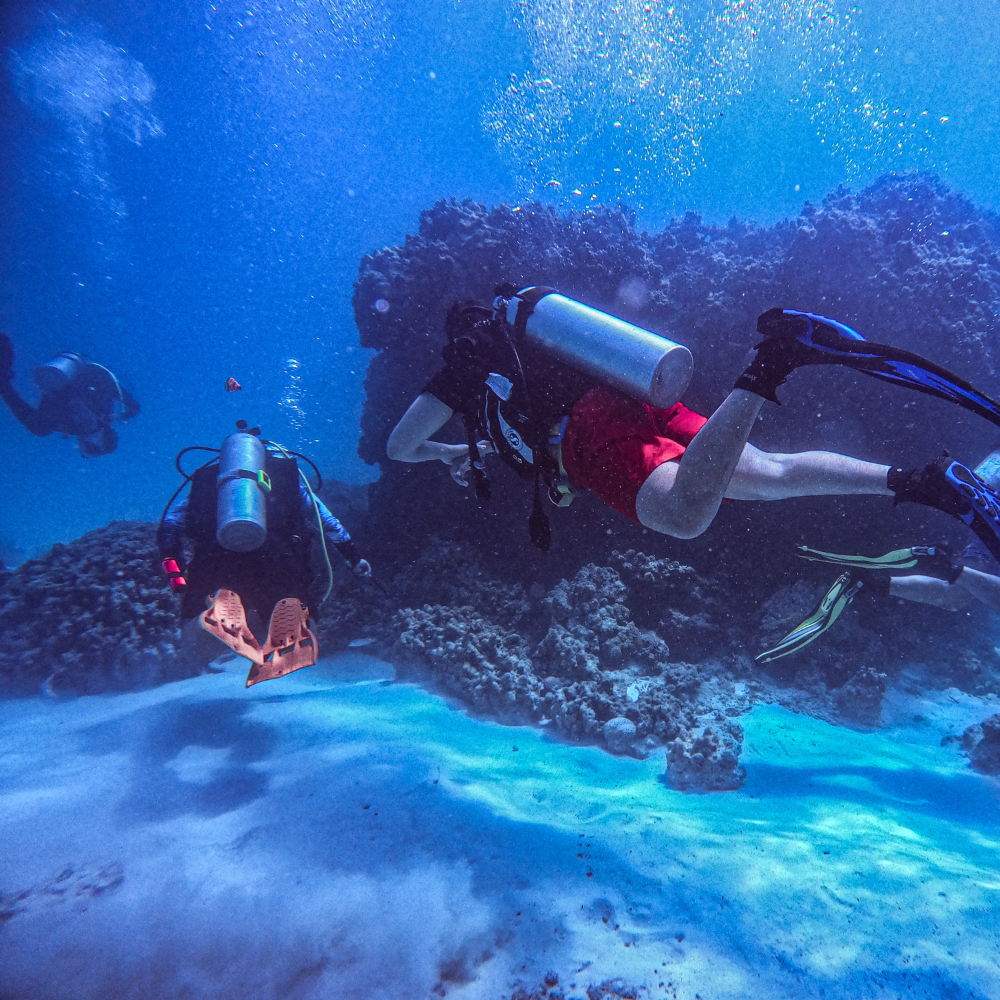 Scuba diving Bonaire