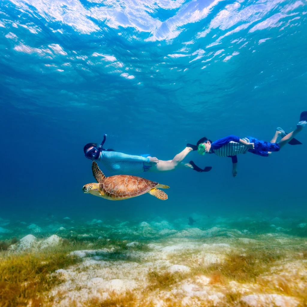snorkelen op Bonaire met schildpadden