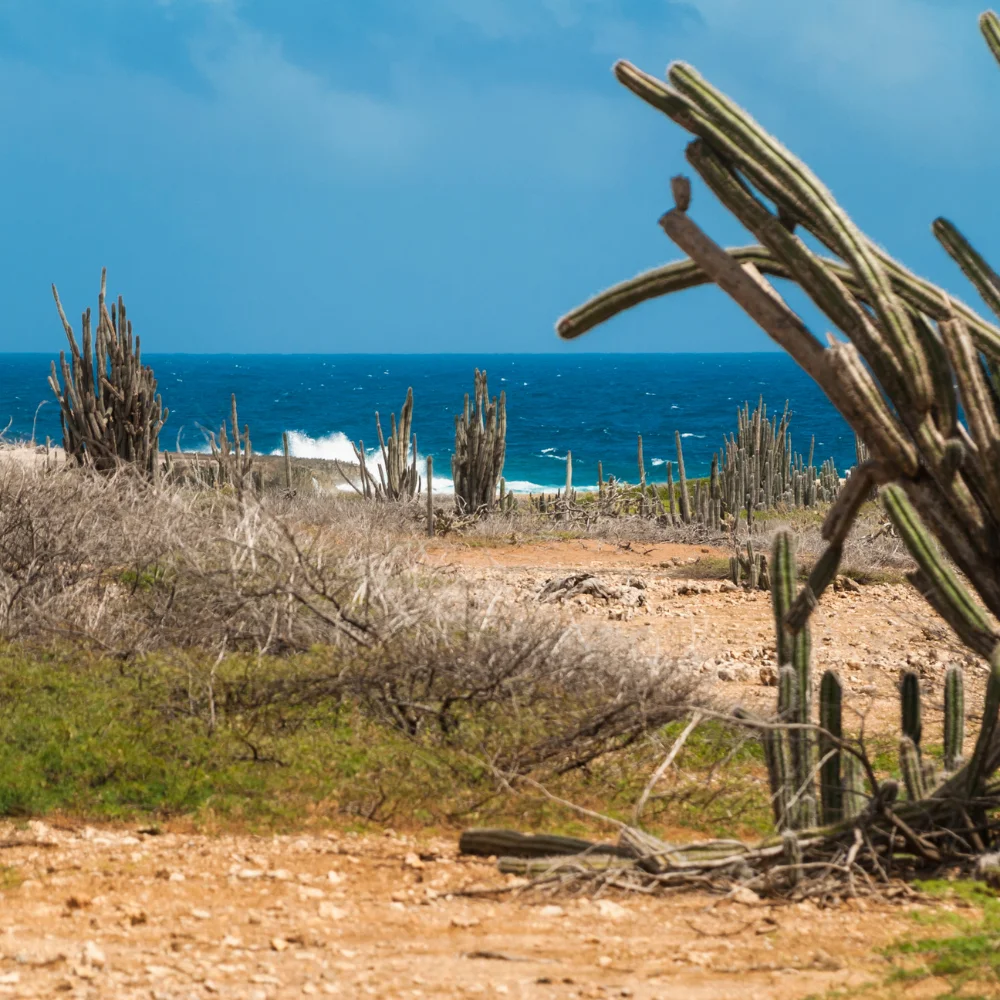Zee tijdens een ronde golf op bonaire